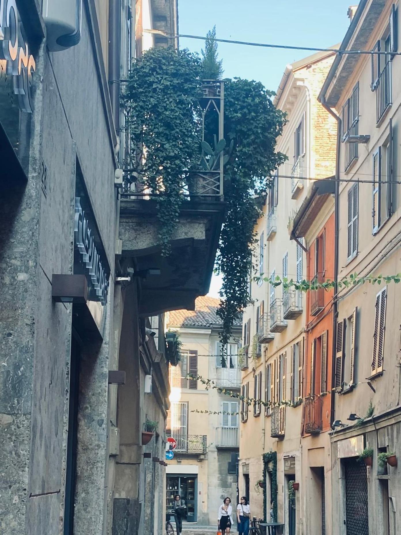 Wanderlust Splendido Appartamento In Centro Pavia Dış mekan fotoğraf
